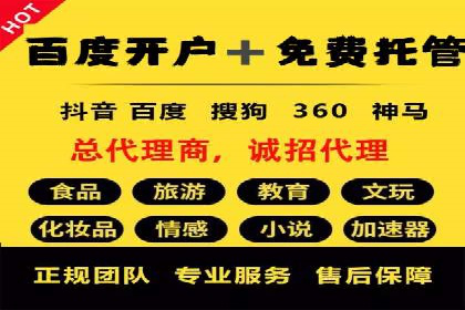 某电商平台信息流竞价策略及成效分析